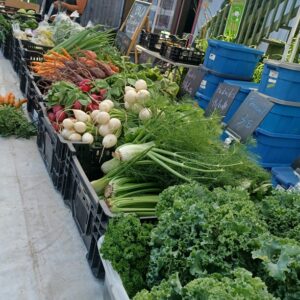 Devenir membre exposant.e