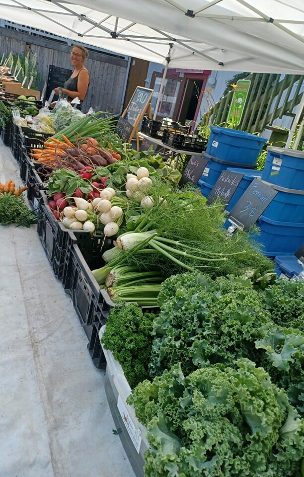 Devenir membre exposant.e